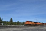 BNSF 5891